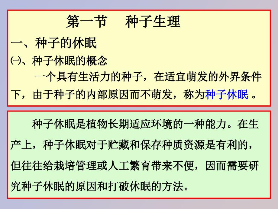 植物的营养生长.ppt_第3页