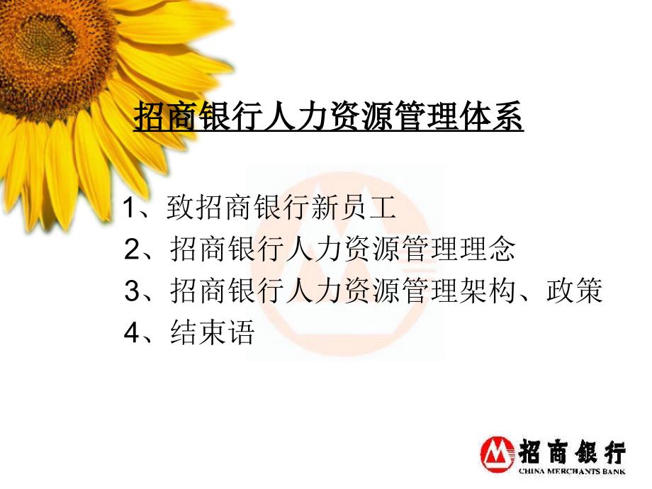 招商银行人力资源管理体系.ppt_第2页