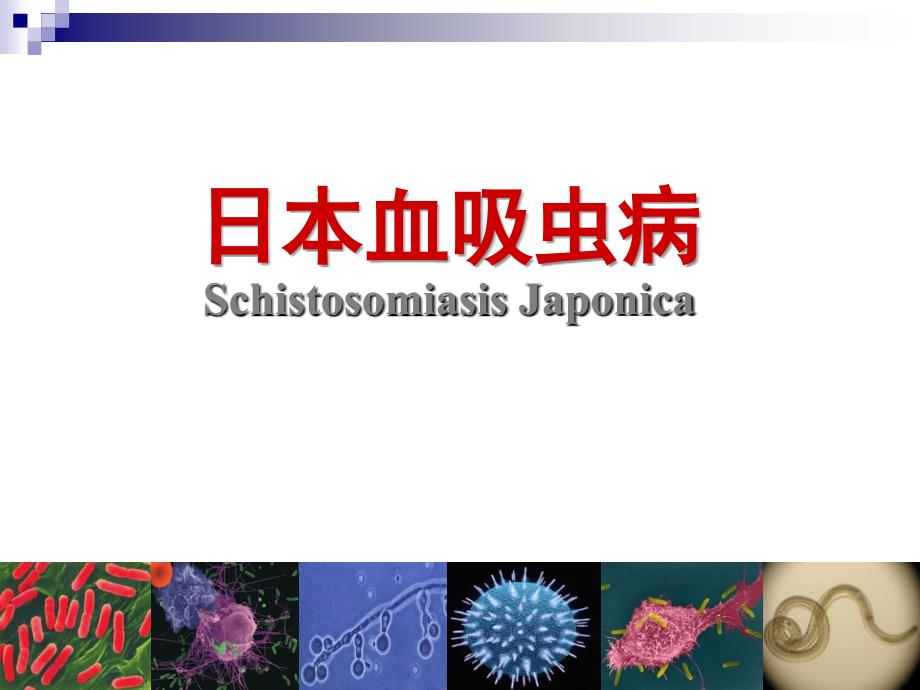 日本血吸虫病课件.ppt_第1页