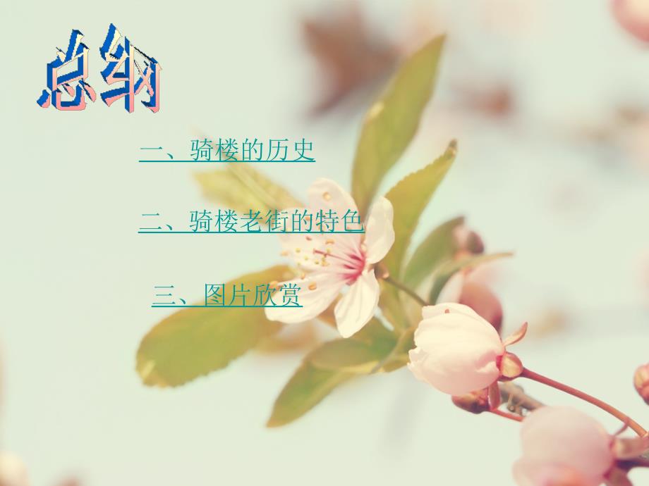 海南省海口骑楼老街.ppt_第2页