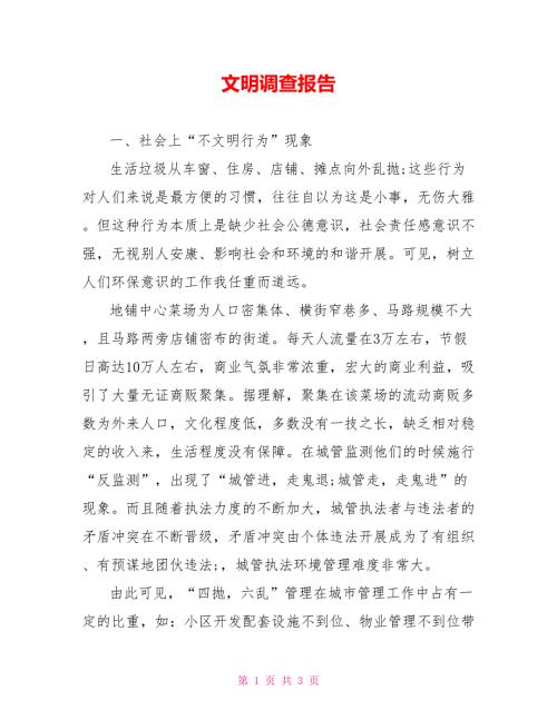 文明调查报告.doc