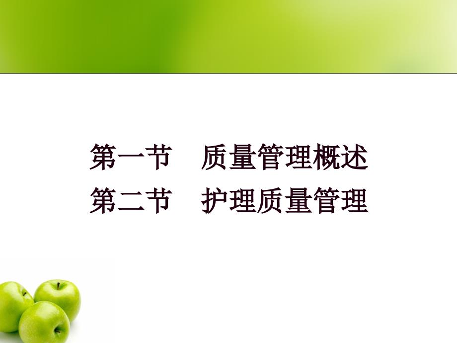 护理管理学本护理质量管理ppt课件.ppt_第2页