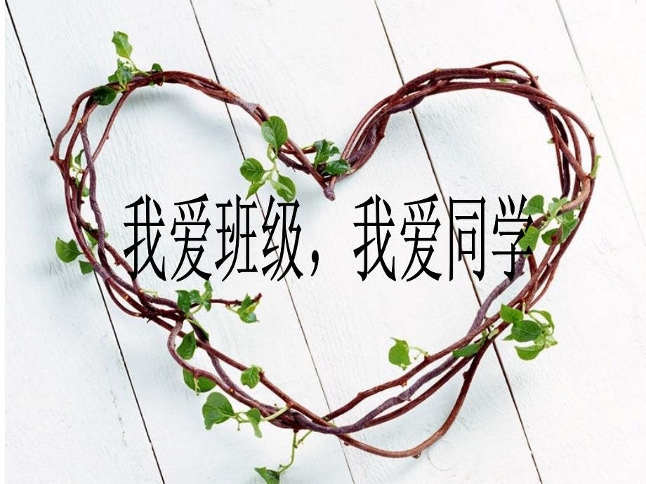 我爱班级我爱同学主题班会.ppt_第2页