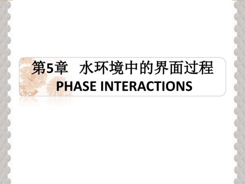 水环境中的界面过程吸附.ppt