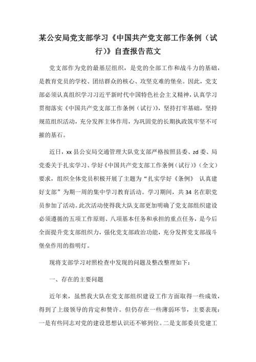 某公安局党支部学习中国共产党支部工作条例试行自查报告范文.docx