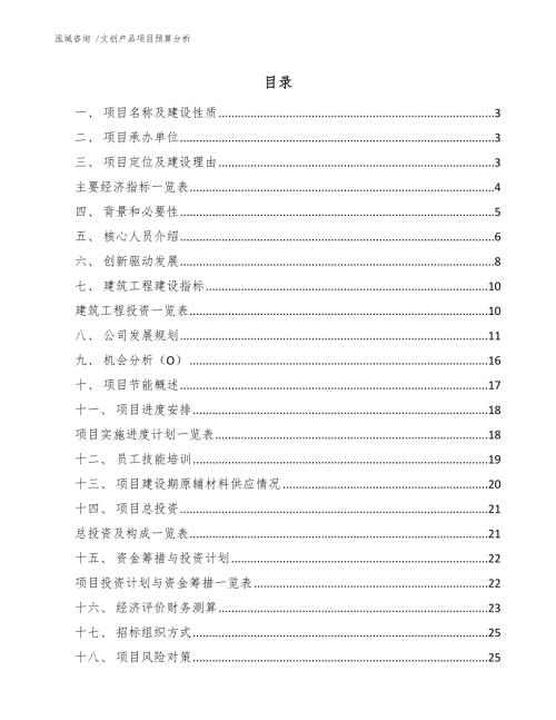 文创产品项目预算分析.docx