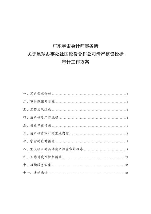 清产核资投标用审计工作方案.doc