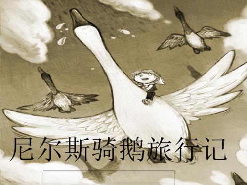 尼尔斯骑鹅旅行记阅读交流课.ppt