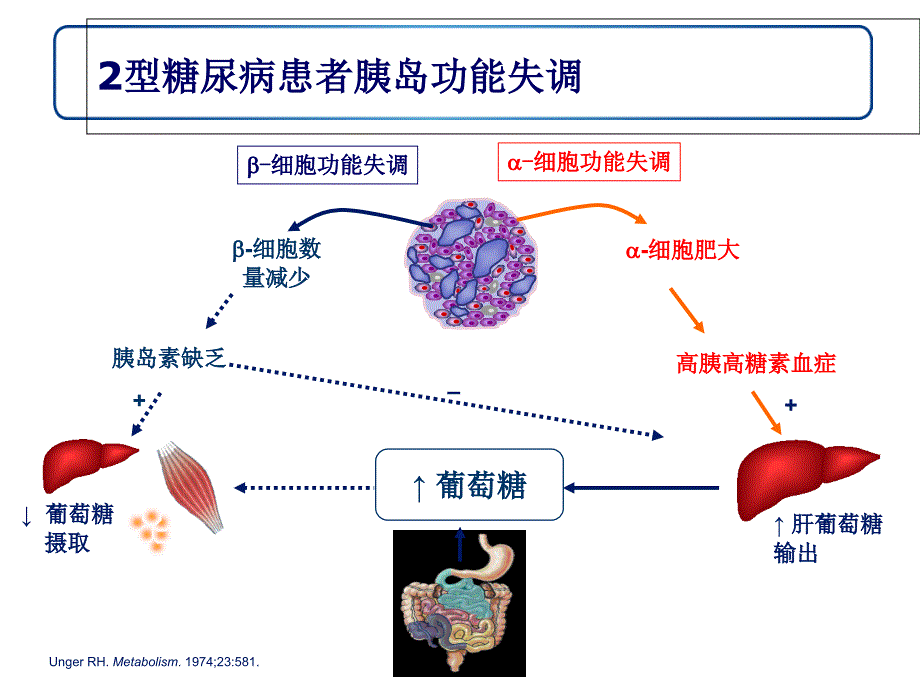 浅析GLP1受体激动剂与DPP4抑制剂最新PPT优秀课件.ppt_第3页