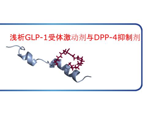 浅析GLP1受体激动剂与DPP4抑制剂最新PPT优秀课件.ppt