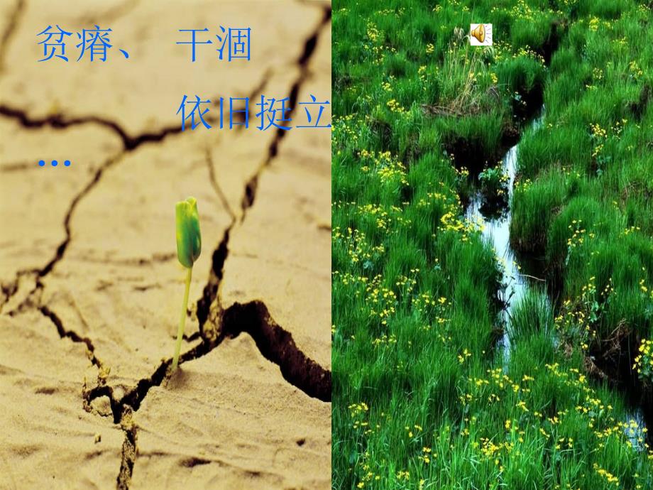 小说活着介绍课件.ppt_第1页