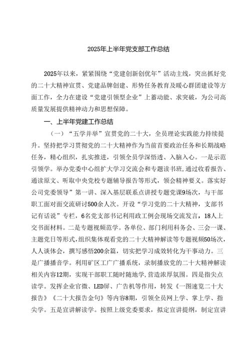 （6篇）2025年上半年党支部工作总结最新通用.docx