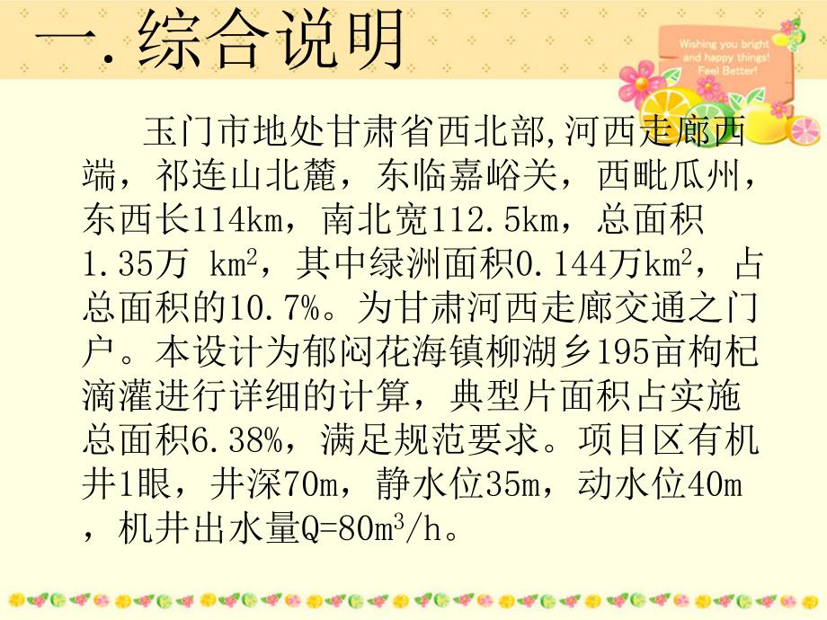 枸杞滴灌设计PPT课件.ppt_第2页