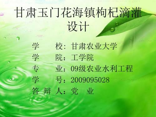 枸杞滴灌设计PPT课件.ppt