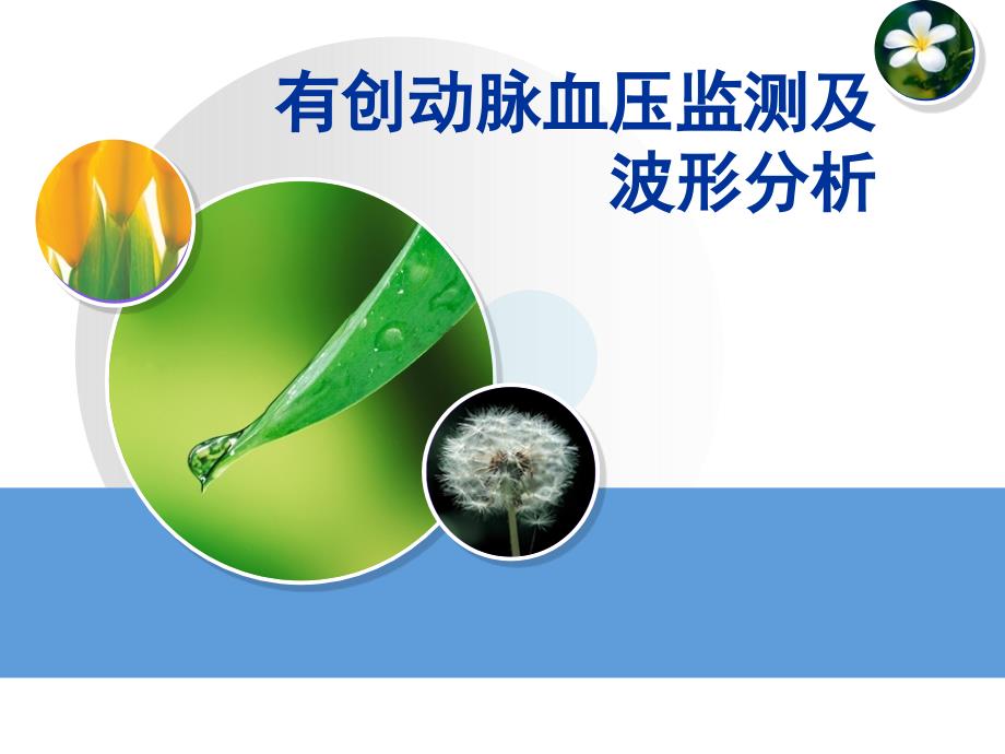 有创动脉压监测波形分析课件.ppt_第1页