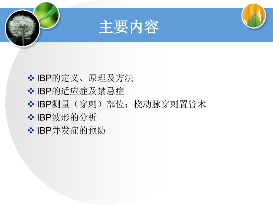 有创动脉压监测波形分析课件.ppt_第3页