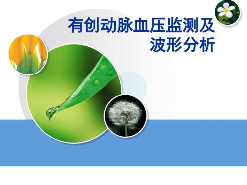 有创动脉压监测波形分析课件.ppt