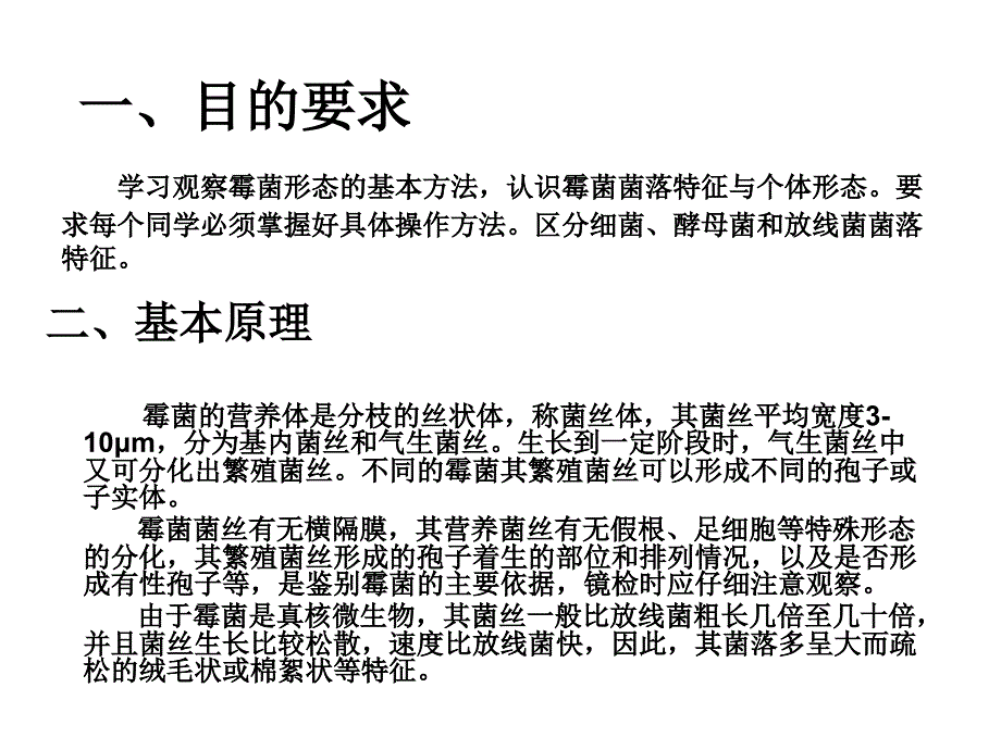 常见霉菌形态观察.ppt_第2页