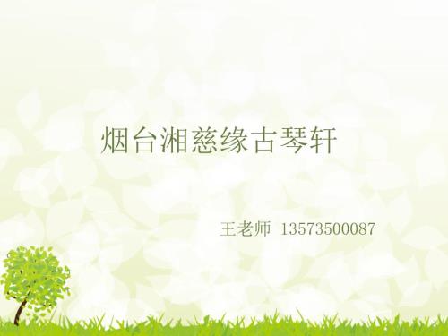 小学古琴知识基础培训湘慈缘.ppt