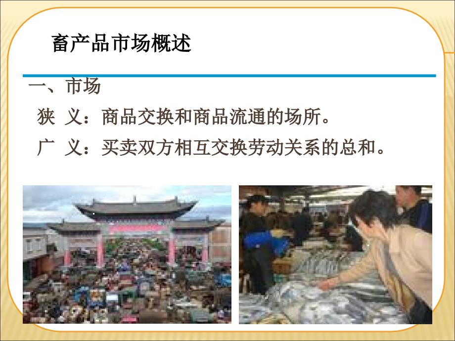 畜产品市场调查PPT课件.ppt_第3页