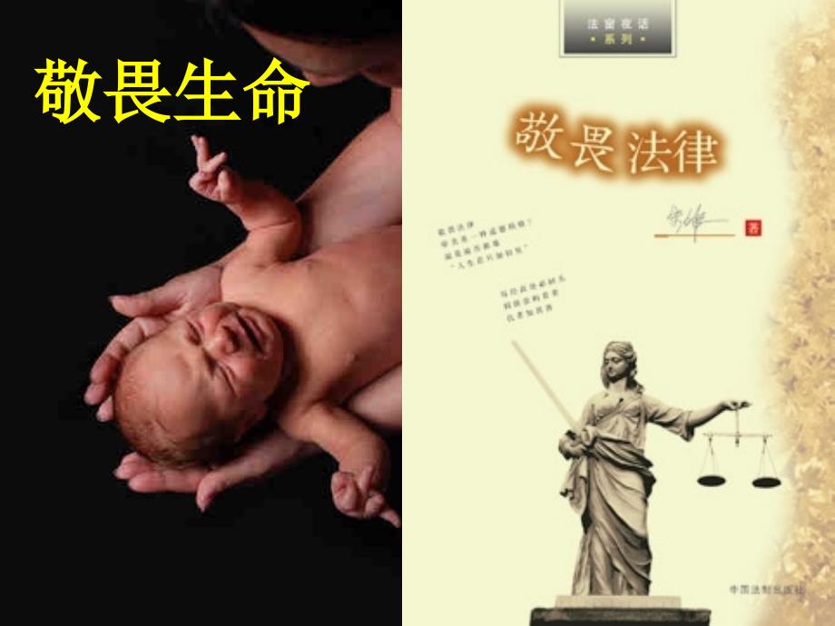敬畏生命敬畏法律.ppt_第1页