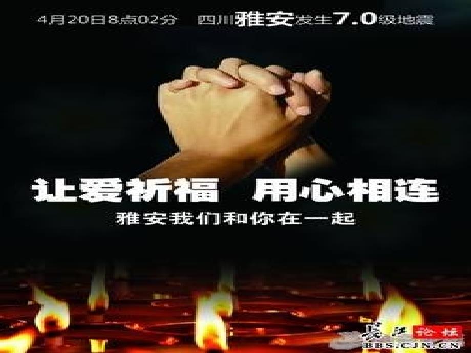 敬畏生命敬畏法律.ppt_第3页