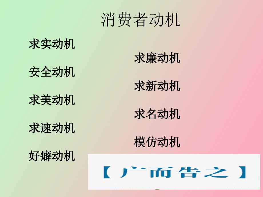 消费者行为学广告分析.ppt_第3页