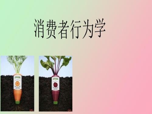 消费者行为学广告分析.ppt
