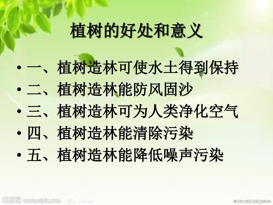 植绿护绿爱绿主题班会.ppt_第3页