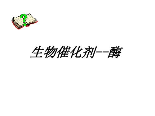 沪科版生物高中第一册4.1生物催化剂酶课件共20张PPT.ppt