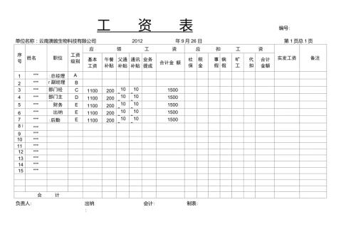 最新工资表模板下载公司工资表工资表样本.doc
