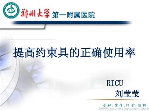 汇报用提高约束具规范使用率ppt.pptx