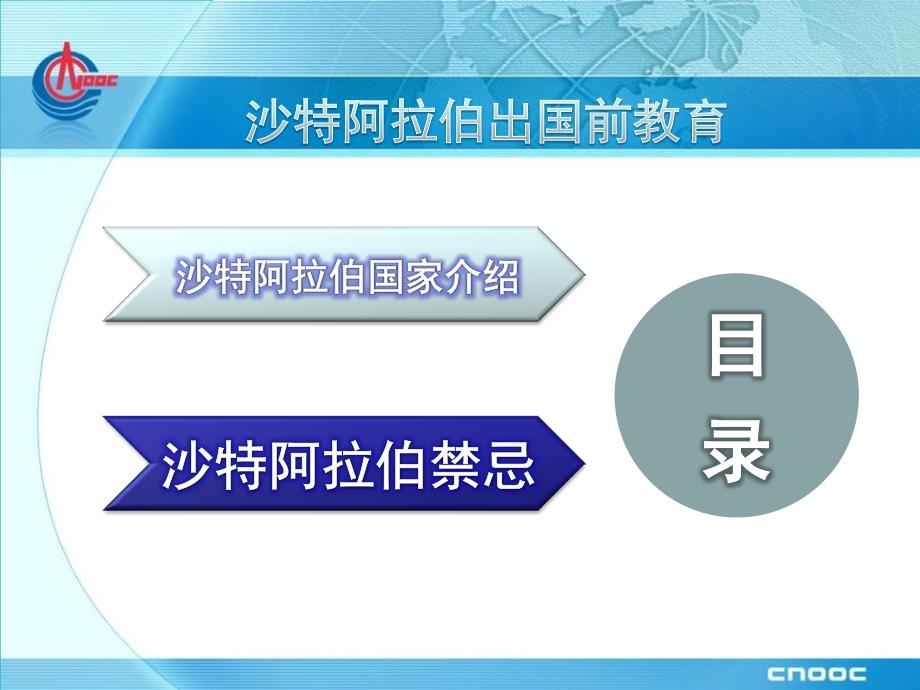 沙特阿拉伯介绍PPT课件.ppt_第2页