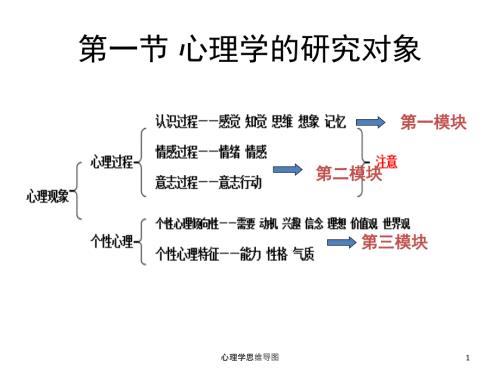 心理学思维导图ppt课件.ppt