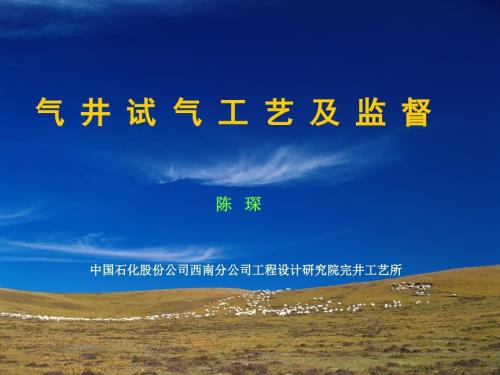 气井试气工艺及监督.ppt