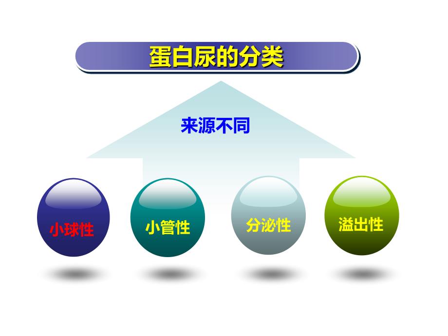 直立性蛋白尿PPT课件.ppt_第3页