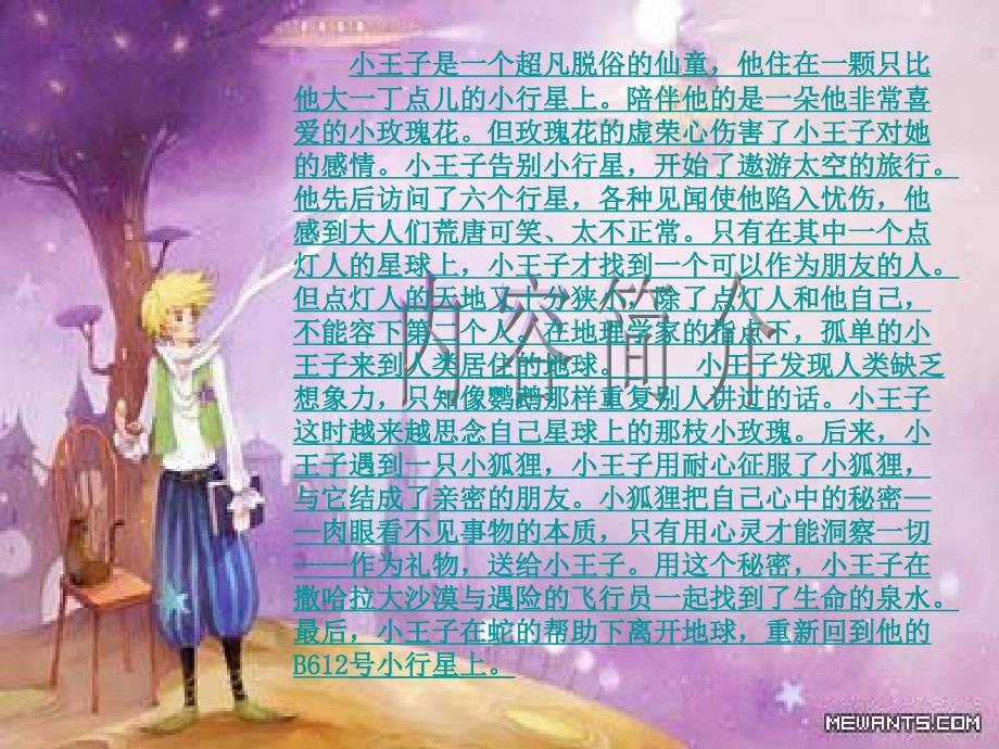 小王子课件.ppt_第3页