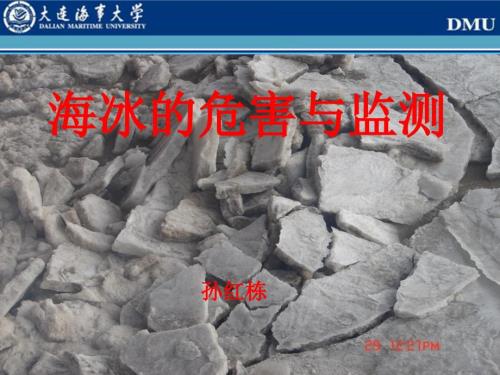海冰的危害与监测.ppt