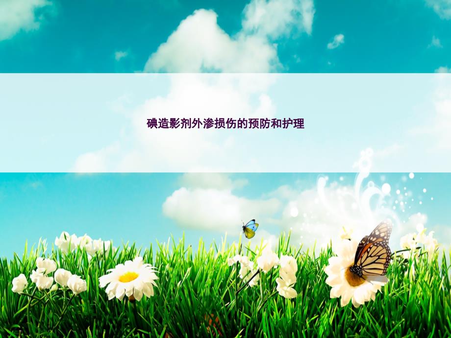 碘造影剂外渗损伤的预防和护理ppt课件.ppt_第1页