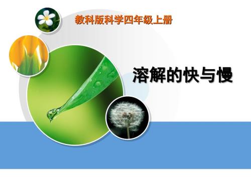 教科版科学四上溶解的快与慢说课课件.ppt