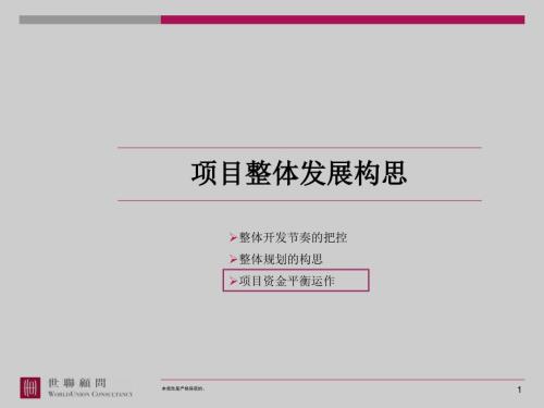 开发流程和经济测算插件1资金流平衡案例.ppt
