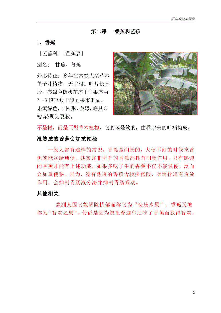 小学校本课程教材认识植物.doc_第2页