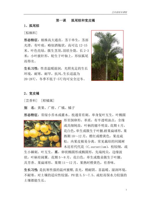 小学校本课程教材认识植物.doc