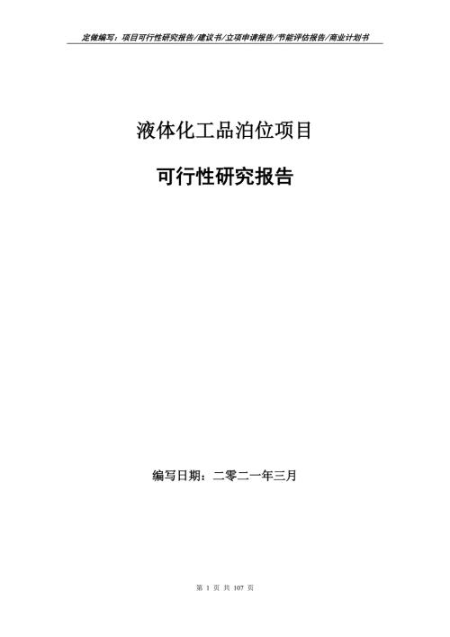 液体化工品泊位项目可行性研究报告立项申请.doc