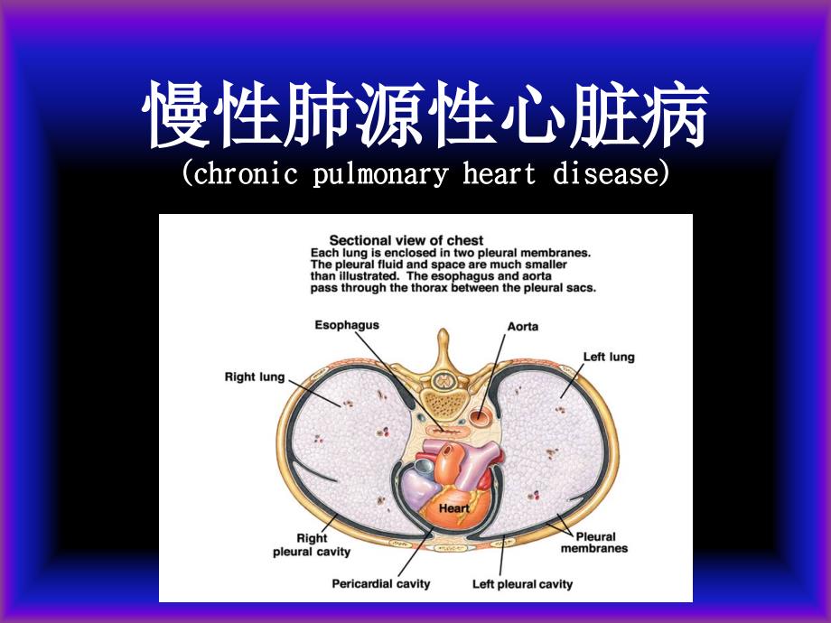 慢性肺源性心脏病护理.ppt_第1页