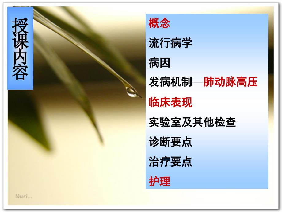 慢性肺源性心脏病护理.ppt_第2页