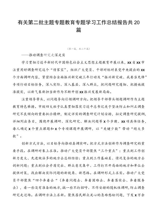 有关第二批主题专题教育专题学习工作总结报告共20篇.docx