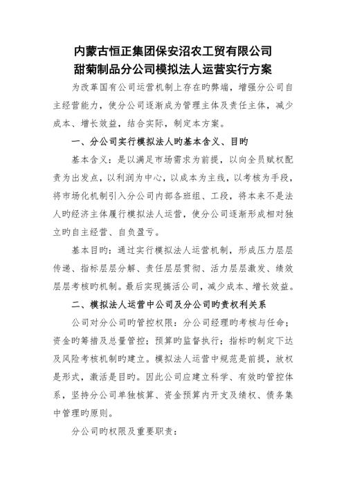 模拟法人实施专题方案.docx