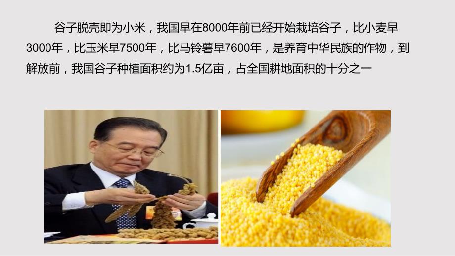 小米营养价值PPT课件.pptx_第2页