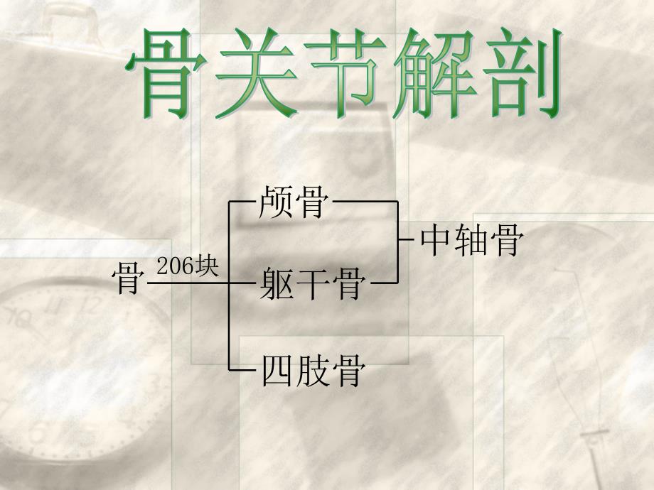 概述常见四肢骨折病人的护理PPT课件.ppt_第2页